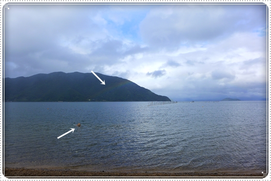 2015,6,29琵琶湖17