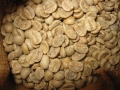 昨日のコロンビア・サンアウグスティン・スプレモ生豆