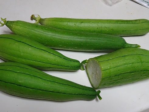 27073011A.jpg