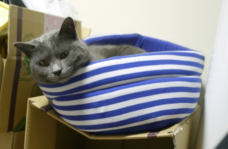 201412312056090b2.jpg