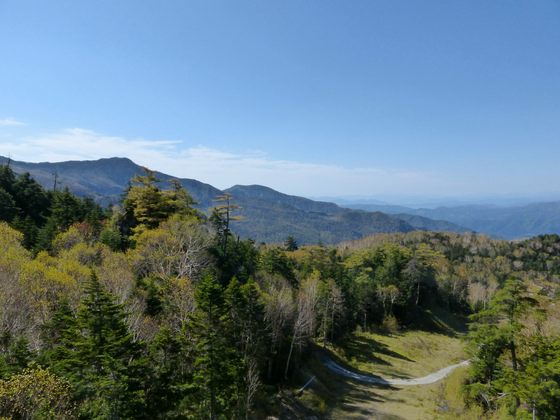 日光白根山ロープウェーから見える景色