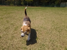 007_20150427232150cb3.jpg
