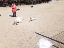 011_20150314221601dbb.jpg
