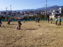 019_2015011820323573e.jpg