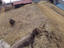 021_20150218210150ba7.jpg