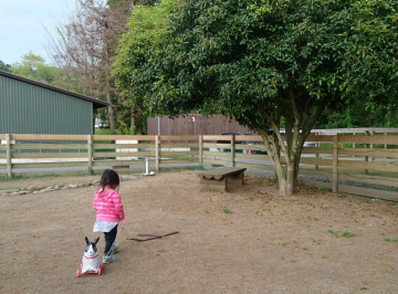 g150509_02.jpg