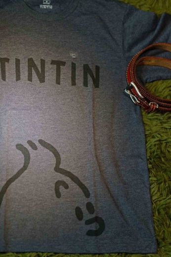 tintin4