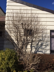 20150220181618aa4.jpg