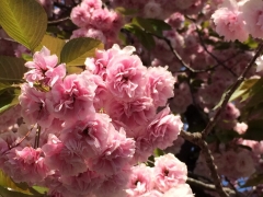 20150423084724cb8.jpg
