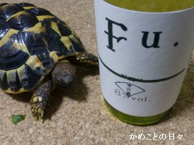 P1190473^sake