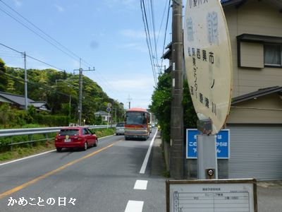 P1200736-umi.jpg