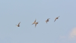 2015013106.jpg