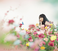 Angel Blossom　