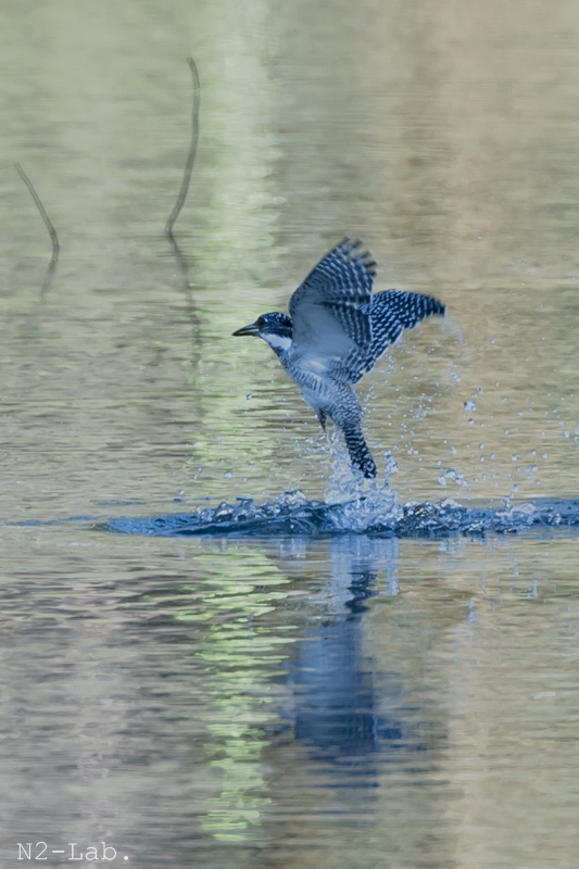 DSC_0869.jpg
