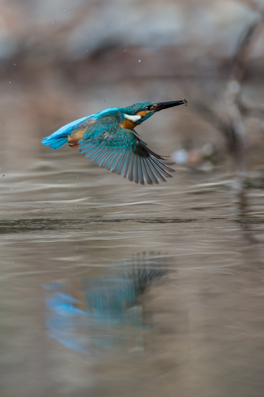 DSC_6748.jpg