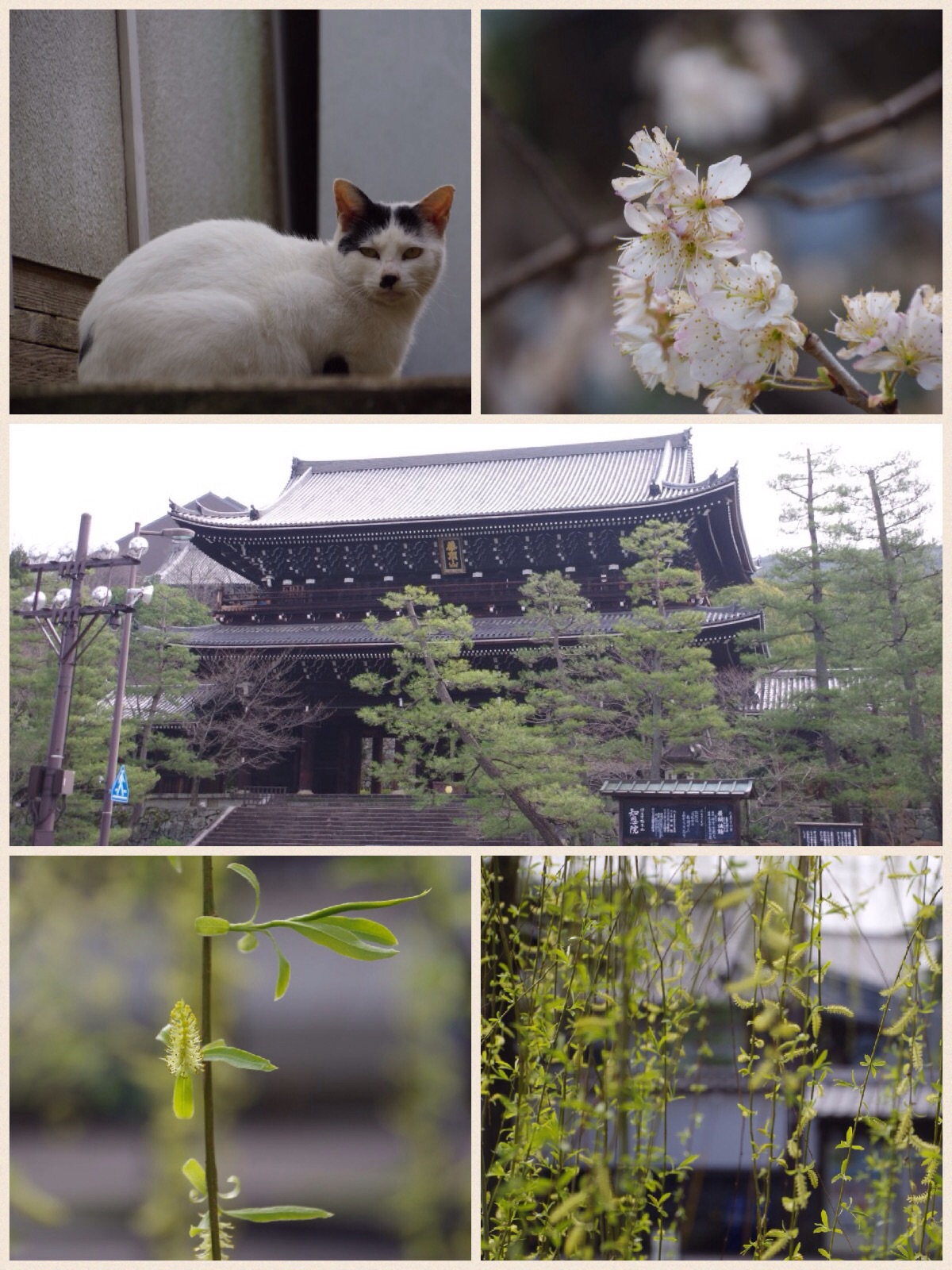 京都 祇園