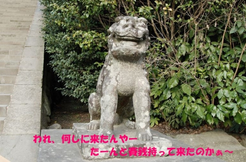 鶴岡八幡宮 007