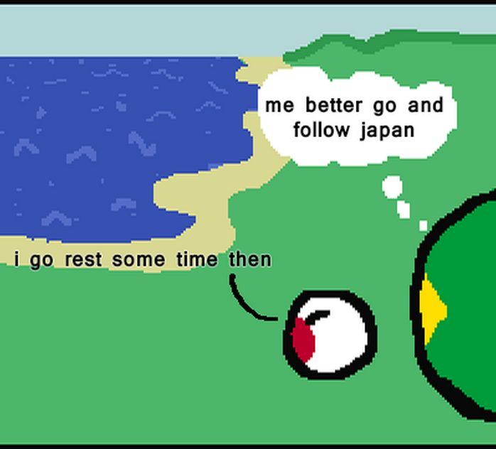 日本がブラジルに行くよ (15)
