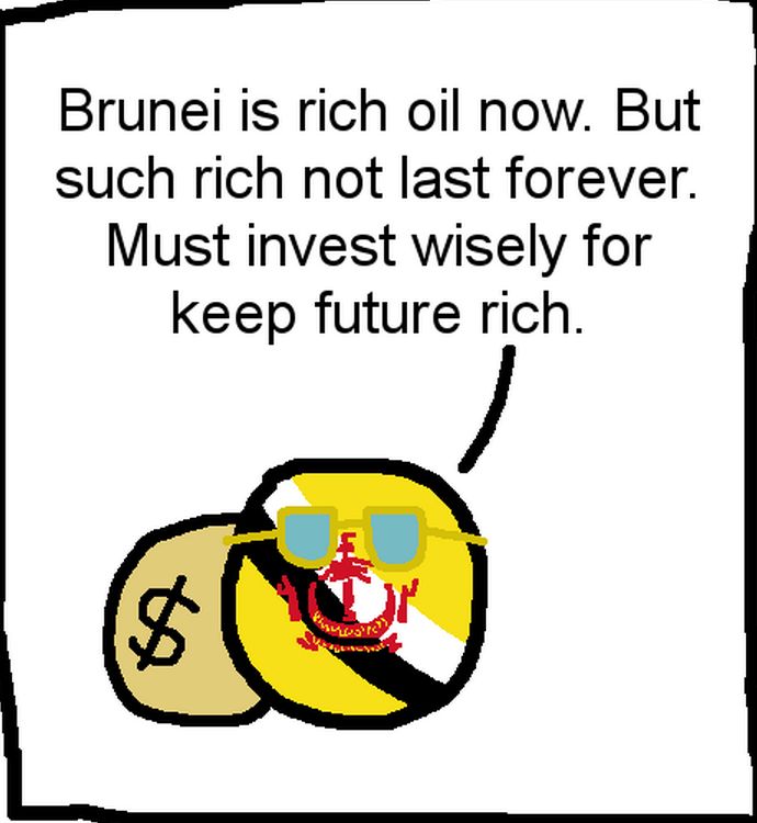 ブルネイの持続的政策 (3)