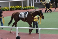 20150629A (19)