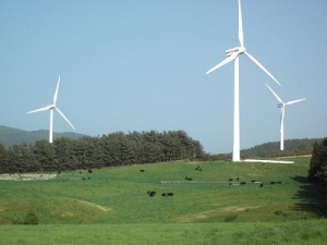 150507風車と牛