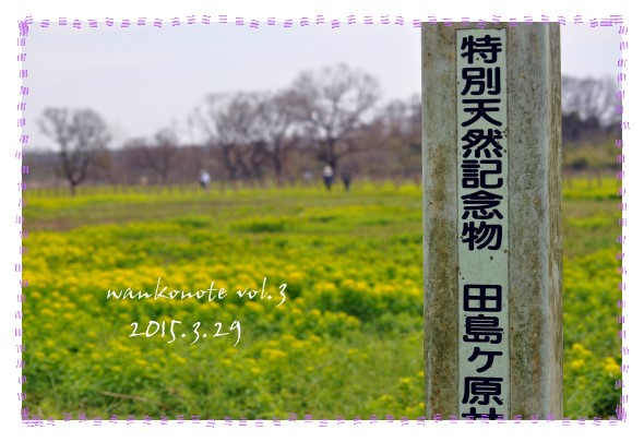 20150329103.jpg