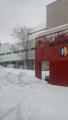 IMG_20141230_110435.jpg