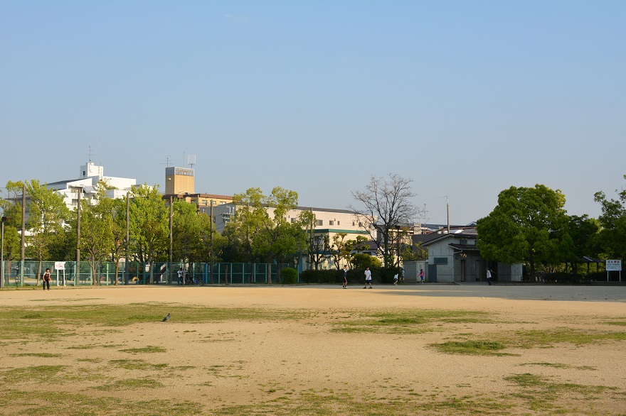 水賀池公園･つつじ (10)