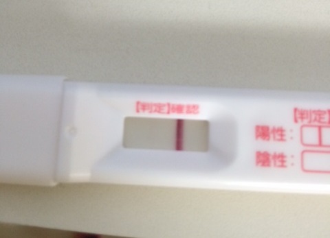 今日と明日はちがう色 フライング検査３ 妊娠検査薬ドゥーテスト 排卵検査薬クリアプラン
