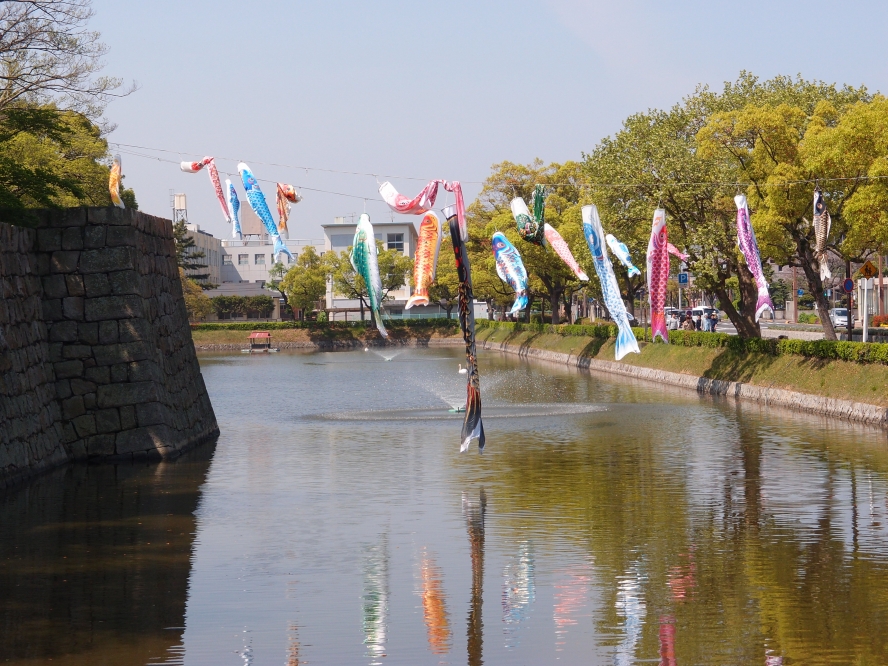 P4237197.jpg