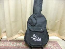 Fender110.jpg