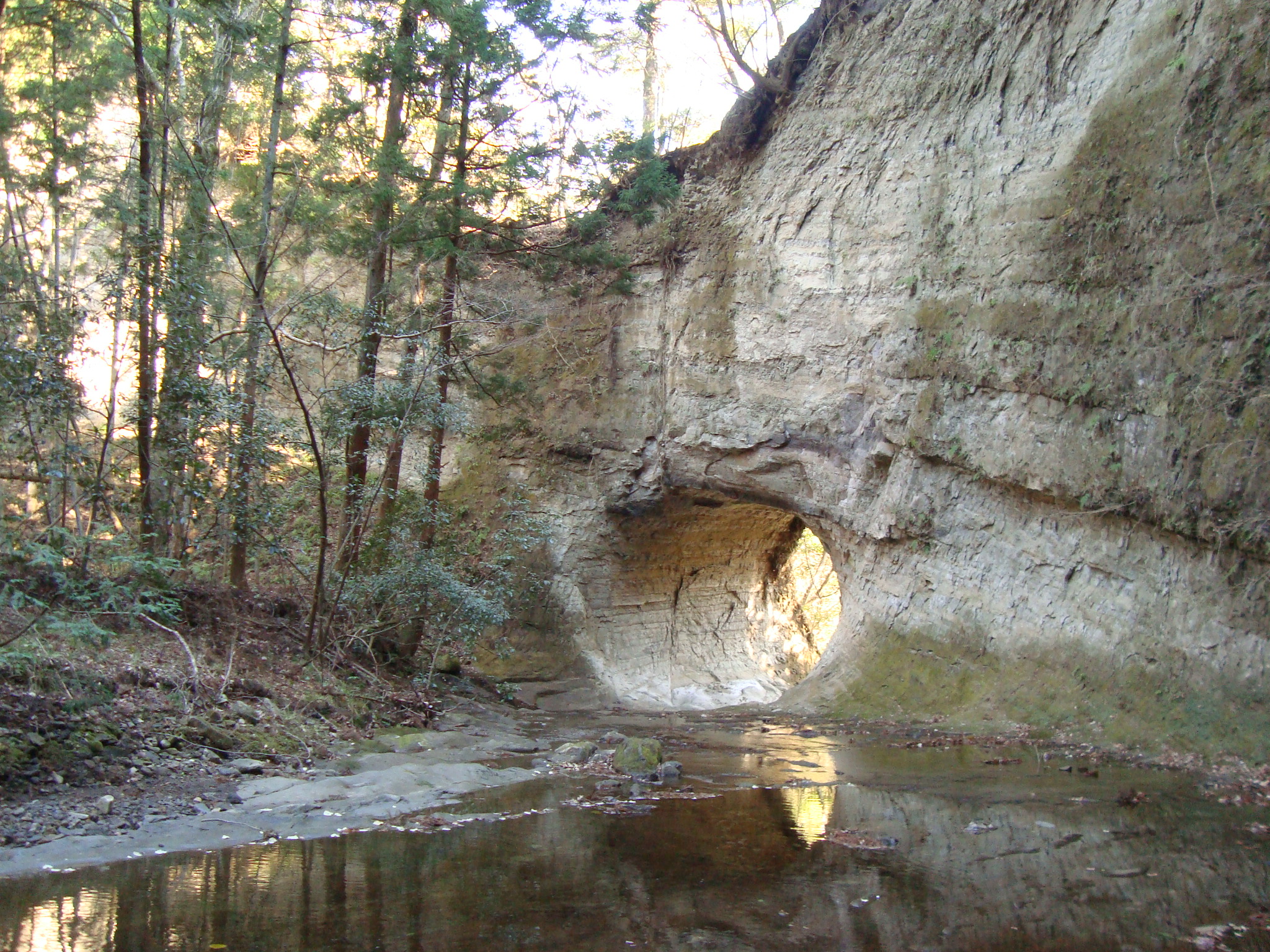 開墾場の滝上トンネル１